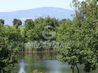 Casale a. Fossa del lupo, Cortona — foto 32 di 36