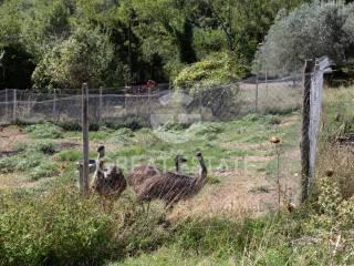 Casale Vocabolo Casachiara, San Venanzo — foto 50 di 78