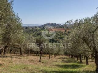 Casale Vocabolo Casachiara, San Venanzo — foto 67 di 78