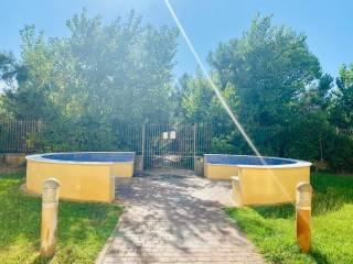 Quadrilocale viale del Tirreno,  70, Calambrone, Pisa — foto 5 di 24