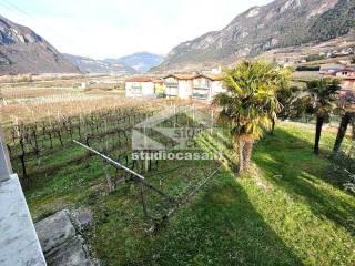 Appartamento via Cadelore, Centro, Ala — foto 13 di 18