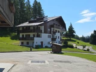 Quadrilocale frazione Grava di Sopra, Centro, Cortina d'Ampezzo — foto 6 di 14