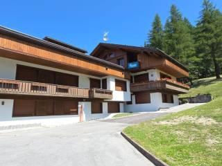 Quadrilocale frazione Grava di Sopra, Centro, Cortina d'Ampezzo — foto 5 di 14