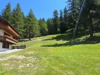 Quadrilocale frazione Grava di Sopra, Centro, Cortina d'Ampezzo — foto 9 di 14