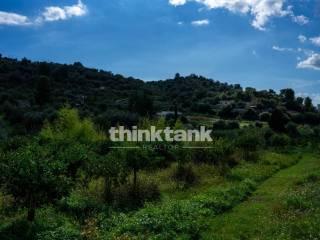 Rustico via della ginestra, Avola — foto 61 di 88