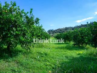 Rustico via della ginestra, Avola — foto 39 di 88