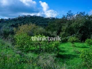 Rustico via della ginestra, Avola — foto 27 di 88