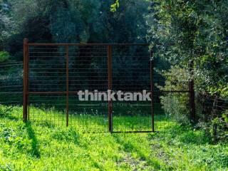 Rustico via della ginestra, Avola — foto 14 di 88