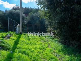 Rustico via della ginestra, Avola — foto 57 di 88