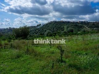 Rustico via della ginestra, Avola — foto 7 di 88