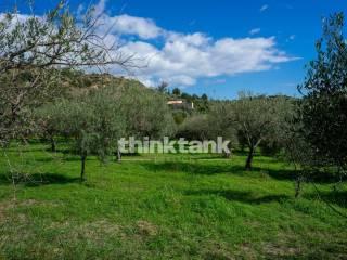 Rustico via della ginestra, Avola — foto 88 di 88