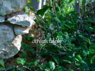 Rustico via della ginestra, Avola — foto 55 di 88