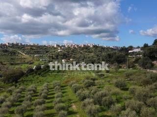 Rustico via della ginestra, Avola — foto 77 di 88