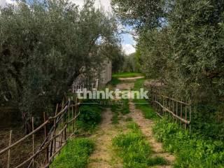 Rustico via della ginestra, Avola — foto 44 di 88