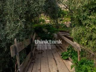 Rustico via della ginestra, Avola — foto 66 di 88