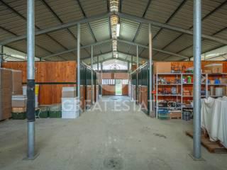 Casale piazzale Trento, Centro, Terranuova Bracciolini — foto 10 di 50