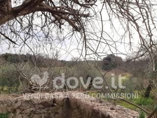 Rustico Strada di Lecceto 6, Agostoli - Montalbuccio, Siena — foto 16 di 40