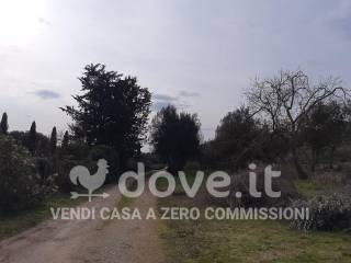 Rustico Strada di Lecceto 6, Agostoli - Montalbuccio, Siena — foto 23 di 40