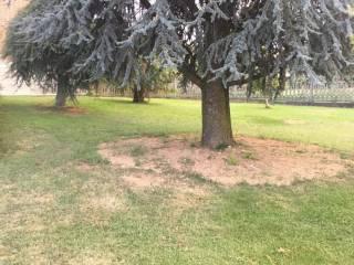 Quadrilocale via Sant'Anna, 2, Centro, Bagnolo Piemonte — foto 12 di 16