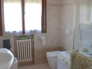 Stanza in affitto in appartamento via Gaetano Pesci, Ferrara — foto 3 di 4