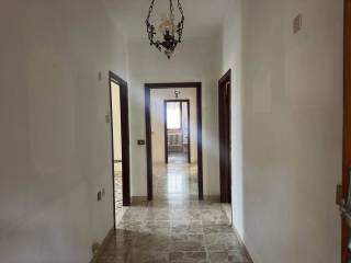 Quadrilocale buono stato, piano terra, Casale Marittimo — foto 5 di 14