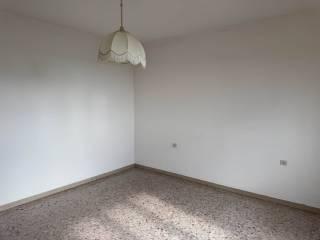 Quadrilocale buono stato, piano terra, Casale Marittimo — foto 8 di 14