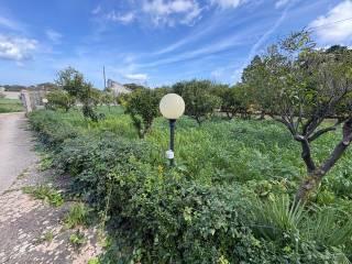 Villa unifamiliare via delle Mandorle 17, Valderice — foto 16 di 23