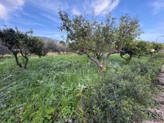Villa unifamiliare via delle Mandorle 17, Valderice — foto 17 di 23
