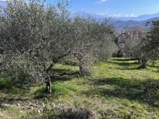 Terratetto unifamiliare via ravo, Centro, Sora — foto 10 di 14