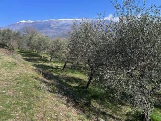 Terratetto unifamiliare via ravo, Centro, Sora — foto 4 di 14