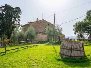 Rustico, da ristrutturare, 700 m², Centro, Monteleone d'Orvieto — foto 5 di 9