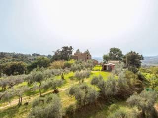 Rustico, da ristrutturare, 700 m², Centro, Monteleone d'Orvieto