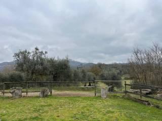 Rustico, da ristrutturare, 700 m², Centro, Monteleone d'Orvieto — foto 2 di 9