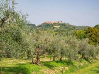 Rustico, da ristrutturare, 700 m², Centro, Monteleone d'Orvieto — foto 3 di 9