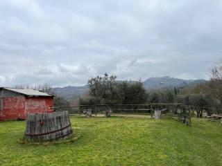 Rustico, da ristrutturare, 700 m², Centro, Monteleone d'Orvieto — foto 7 di 9