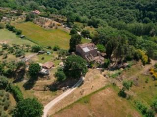 Rustico, da ristrutturare, 700 m², Centro, Monteleone d'Orvieto — foto 9 di 9