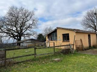 Rustico, da ristrutturare, 700 m², Centro, Monteleone d'Orvieto — foto 4 di 9