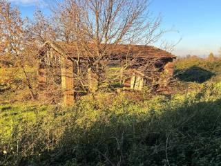 Rustico Strada Salsediana Ovest, Alseno — foto 14 di 33