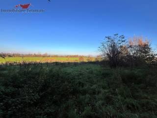 Rustico Strada Salsediana Ovest, Alseno — foto 11 di 33