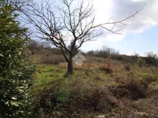 Terratetto unifamiliare Contrada Valle Verde, Ferrazzano — foto 4 di 19