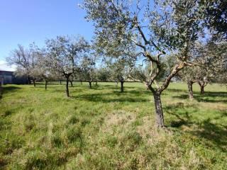 Terratetto unifamiliare via Aspide, Roccasecca — foto 37 di 37
