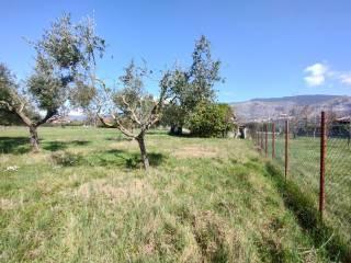 Terratetto unifamiliare via Aspide, Roccasecca — foto 35 di 37
