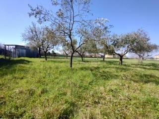 Terratetto unifamiliare via Aspide, Roccasecca — foto 9 di 37