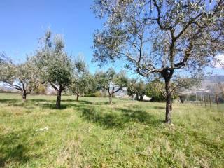 Terratetto unifamiliare via Aspide, Roccasecca — foto 17 di 37
