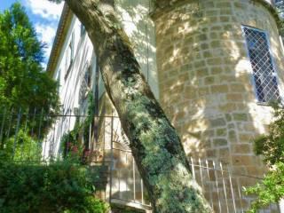 Villa unifamiliare via Carducci 4 4, Centro, Orvieto — foto 13 di 82
