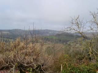 Terratetto plurifamiliare Località Collepizzuto, San Gemini — foto 26 di 126