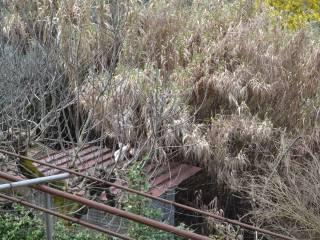 Terratetto plurifamiliare Località Collepizzuto, San Gemini — foto 88 di 126