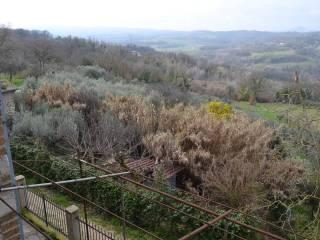 Terratetto plurifamiliare Località Collepizzuto, San Gemini — foto 71 di 126