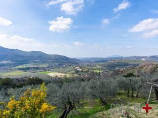 Villa unifamiliare via Ornischi, Centro, Castelnuovo di Farfa — foto 4 di 63