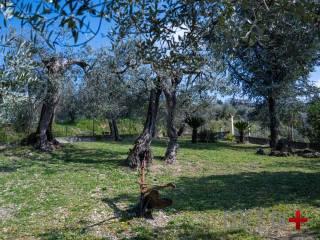 Villa unifamiliare via Ornischi, Centro, Castelnuovo di Farfa — foto 53 di 63